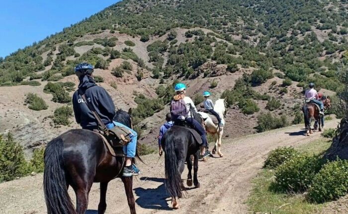 Horse riding in Morocco