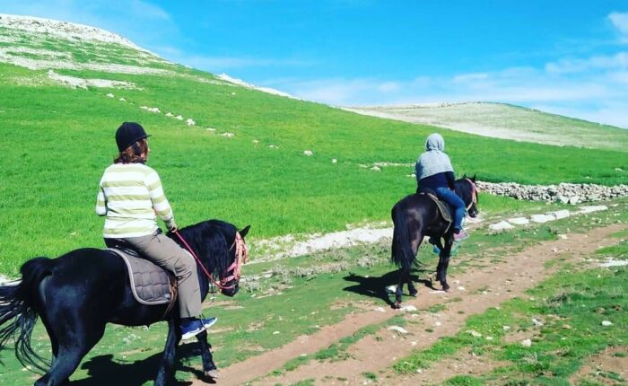 Atlas Mountains Horse riding
