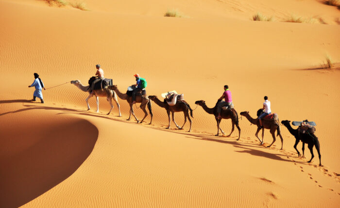People riding camels in Chigaga Morocco Sahara Desert