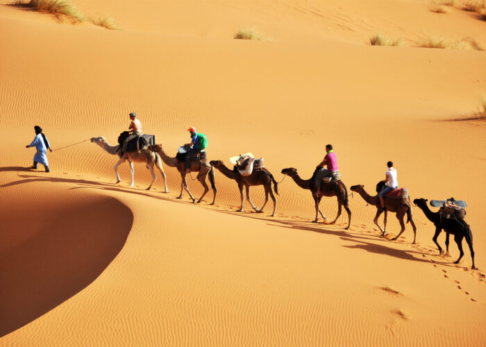 People riding camels in Chigaga Morocco Sahara Desert
