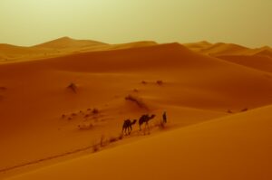 Sahara desert Morocco