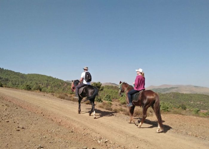Morocco Atlas Mountains Horse Riding Guided Tour 2022